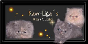 Kaw-Liga's